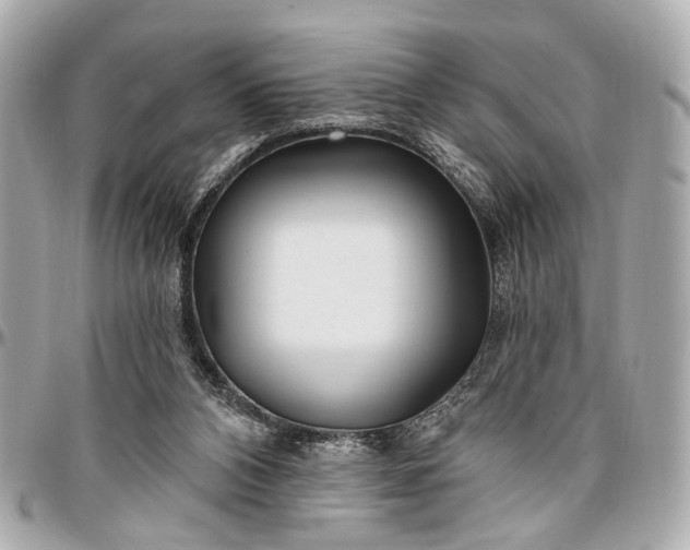 X0000096990112200802221507