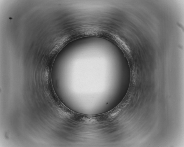 X0000096990113200802221507