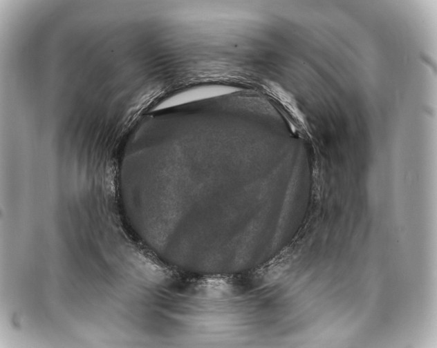 X0000096990114200802221507