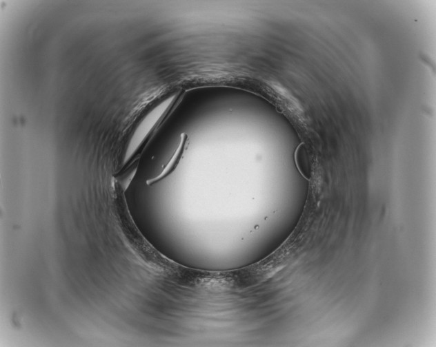 X0000096990115200802221507