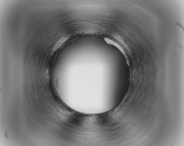 X0000096990116200802221507