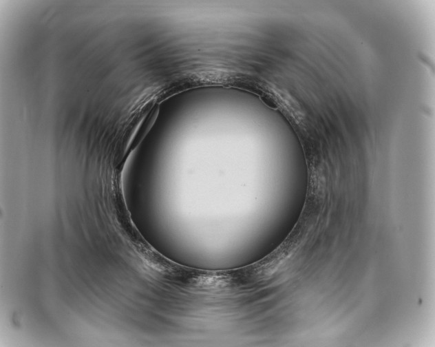 X0000096990117200802221507