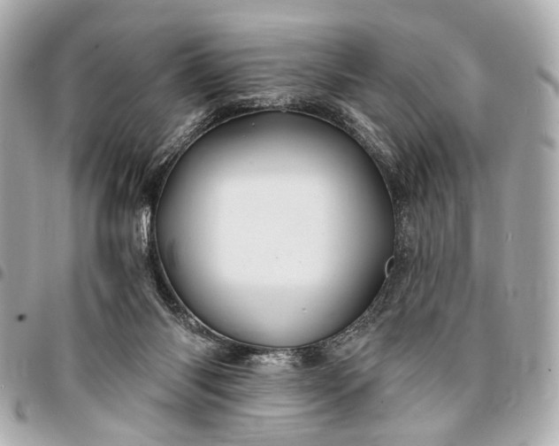 X0000096990118200802221507