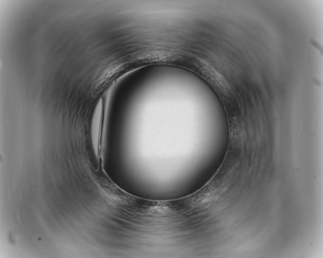 X0000096990119200802221507