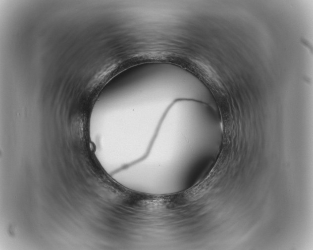 X0000096990120200802221507