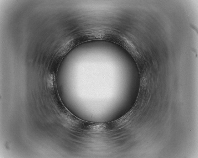 X0000096990122200802221507