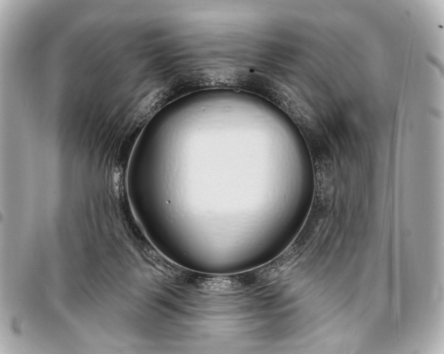 X0000096990123200802221507