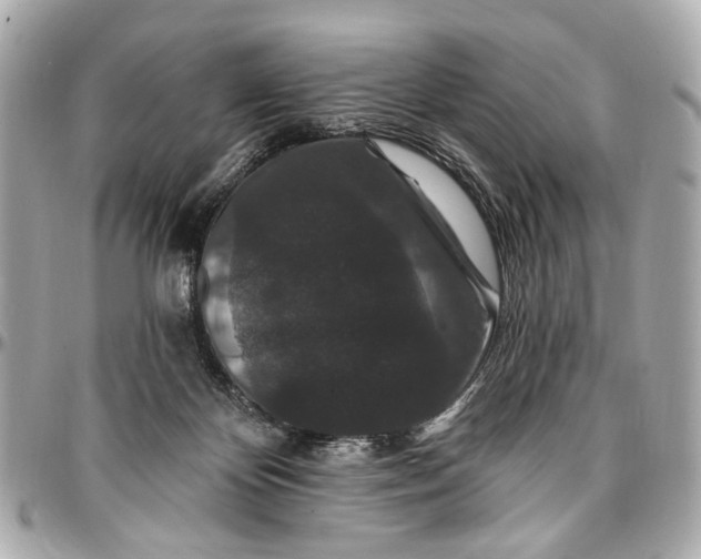 X0000096990124200802221507