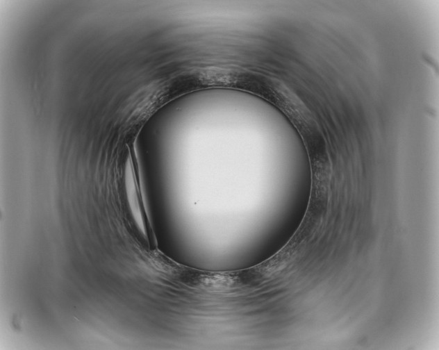 X0000096990125200802221507