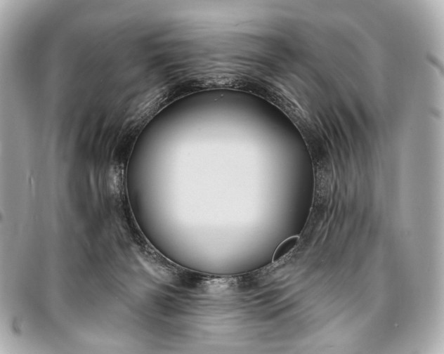 X0000096990126200802221507