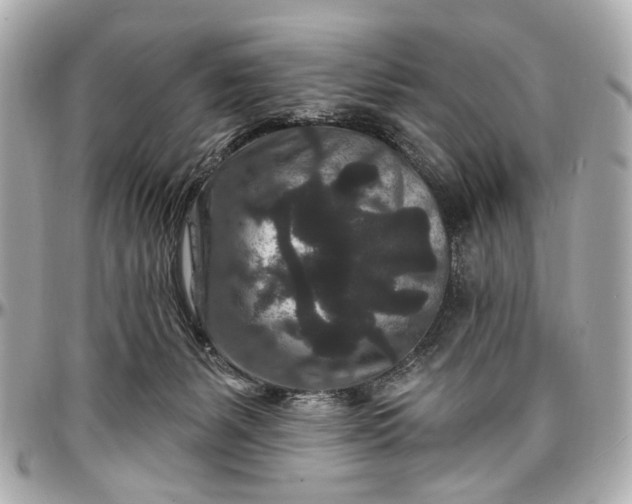 X0000096990127200802221507