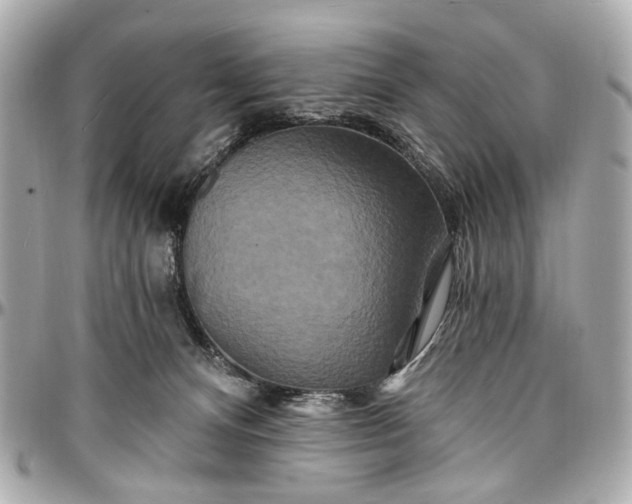 X0000096990128200802221507