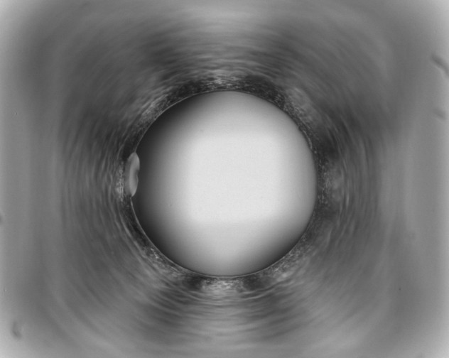 X0000096990129200802221507