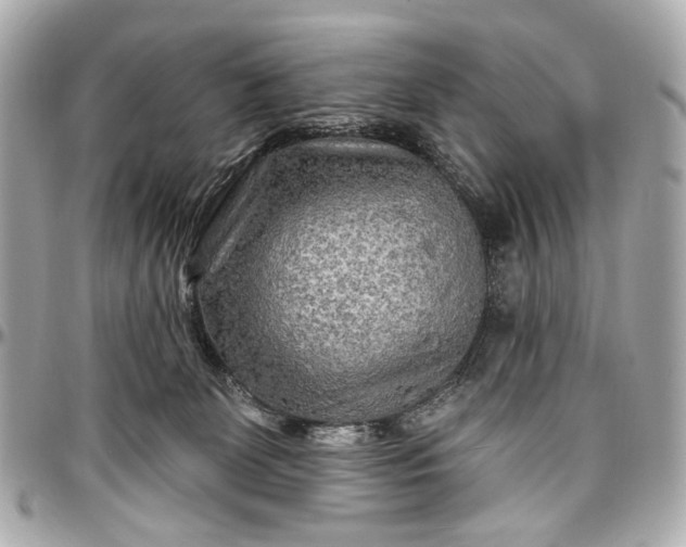 X0000096990131200802221507