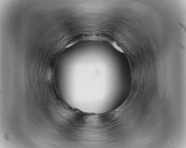 X0000096990132200802221507