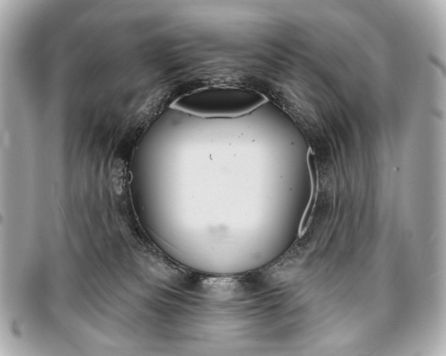 X0000096990133200802221507