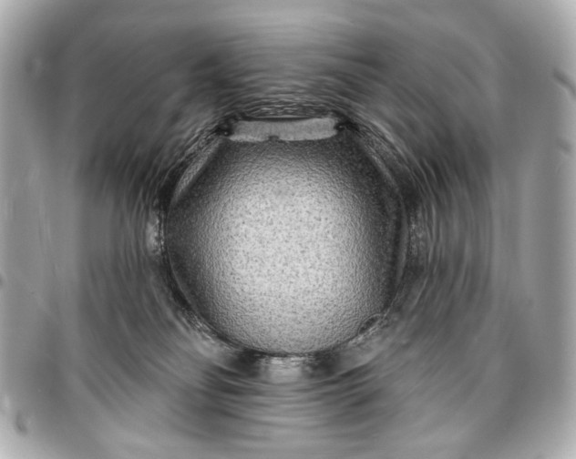 X0000096990134200802221507