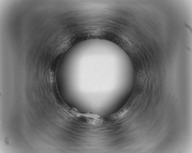 X0000096990135200802221507