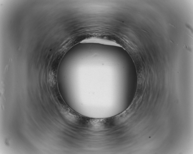 X0000096990136200802221507