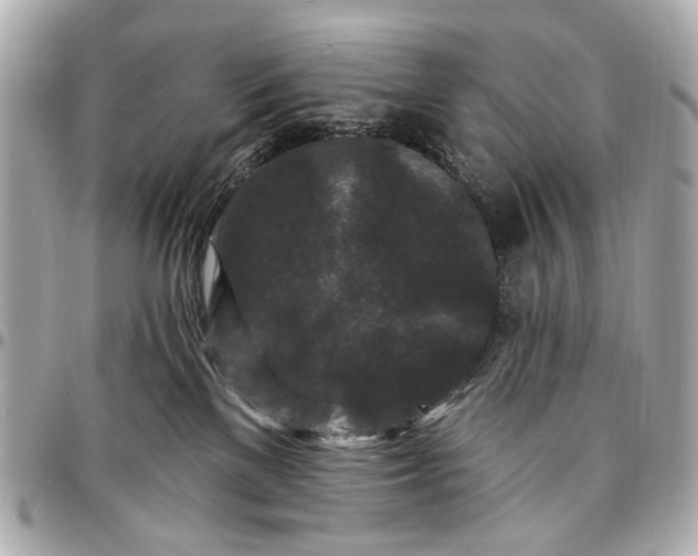 X0000096990137200802221507