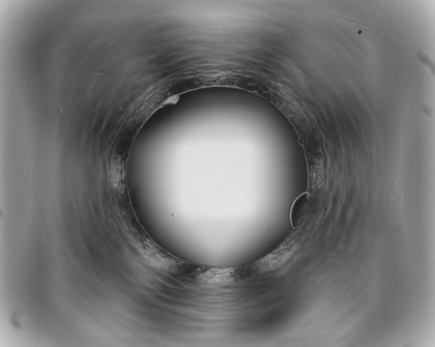 X0000096990138200802221507