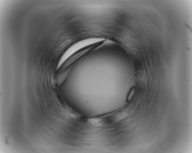 X0000096990139200802221507