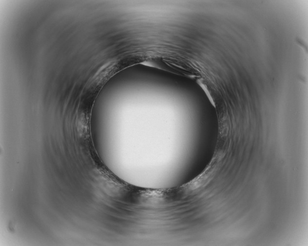 X0000096990140200802221507