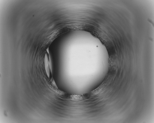 X0000096990141200802221507