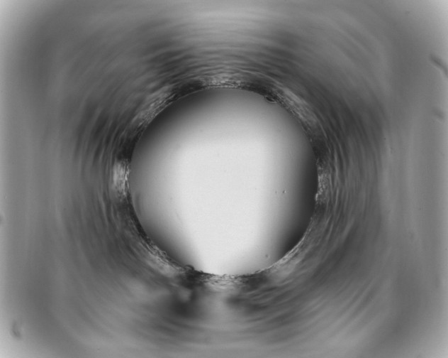 X0000096990142200802221507