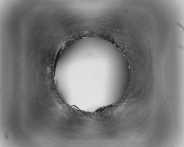 X0000096990144200802221507