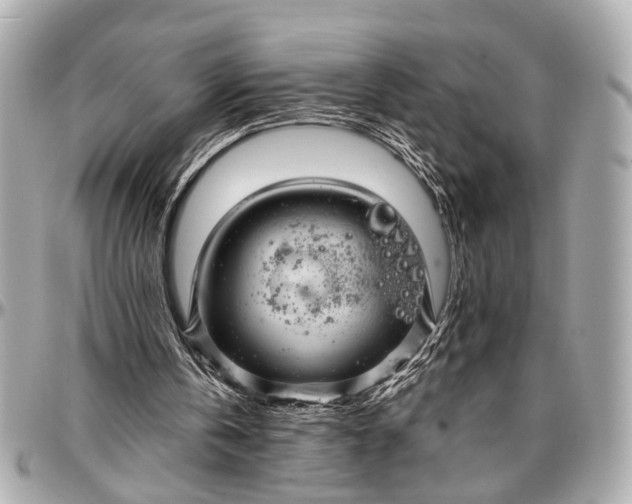 X0000096990146200802221506