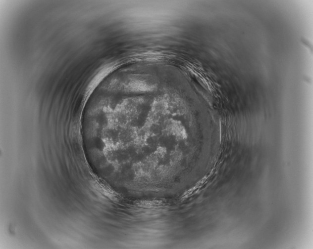 X0000096990147200802221506