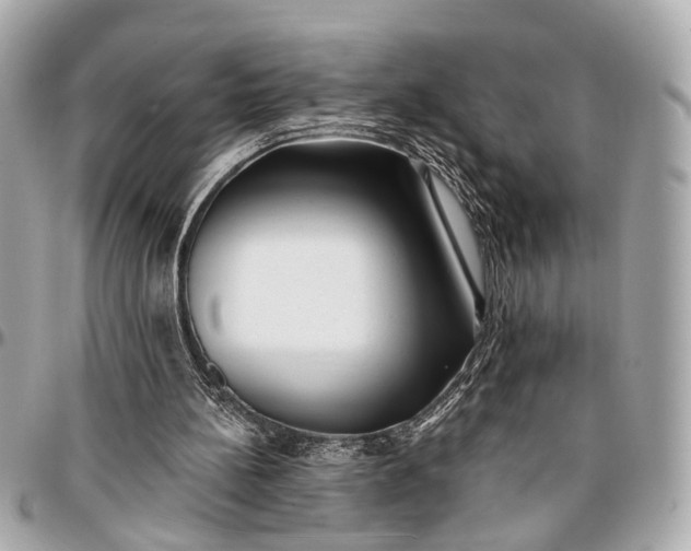 X0000096990148200802221506