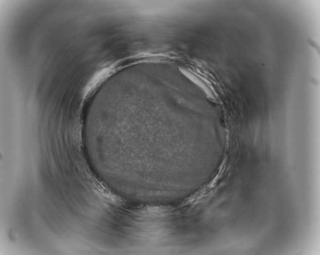 X0000096990149200802221506