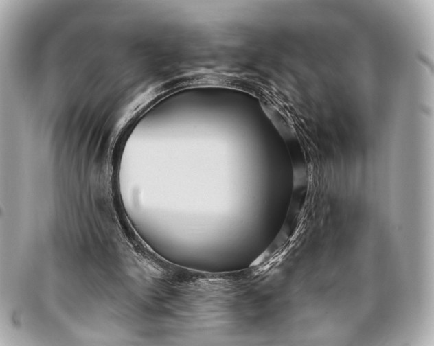 X0000096990150200802221506