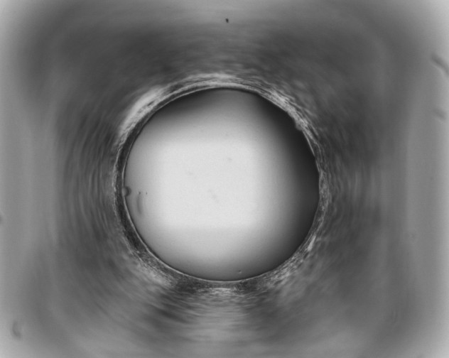 X0000096990151200802221506