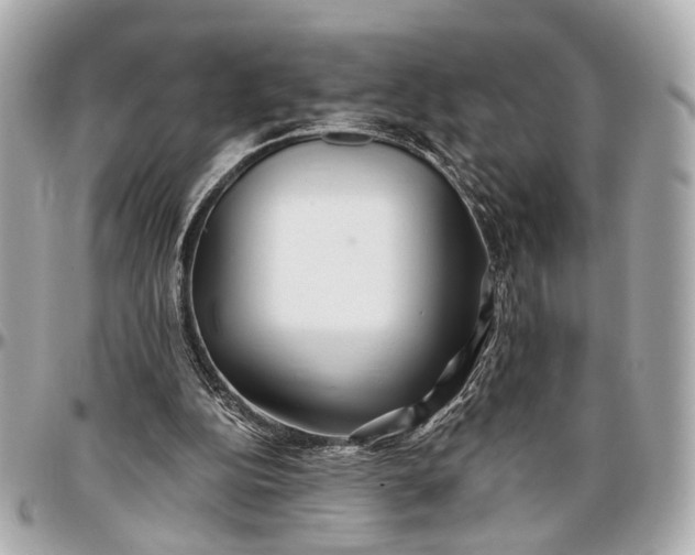 X0000096990152200802221506