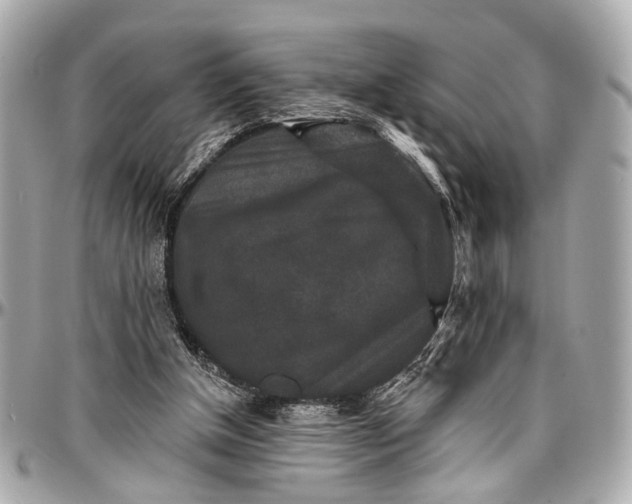 X0000096990154200802221506