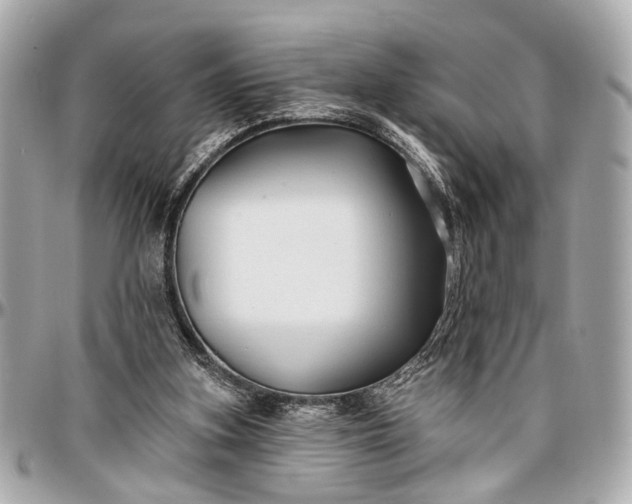 X0000096990155200802221506