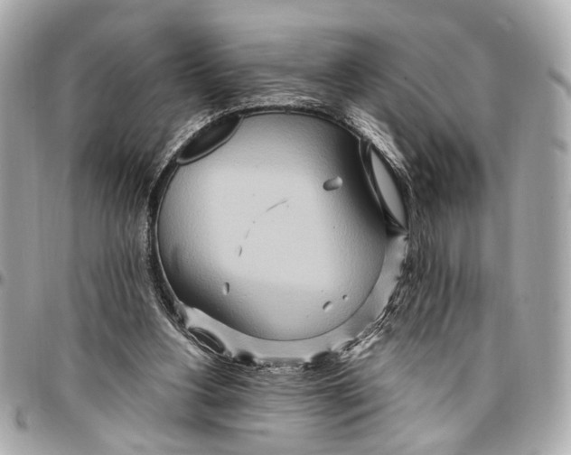 X0000096990156200802221506