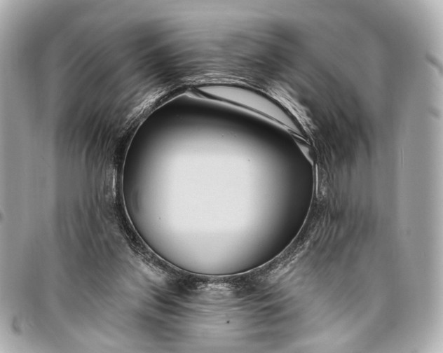 X0000096990157200802221506