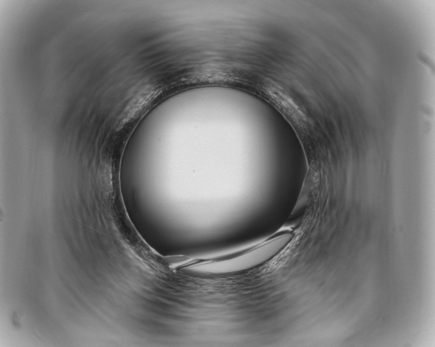 X0000096990158200802221506