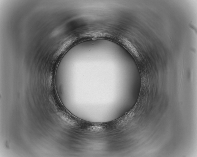 X0000096990159200802221506