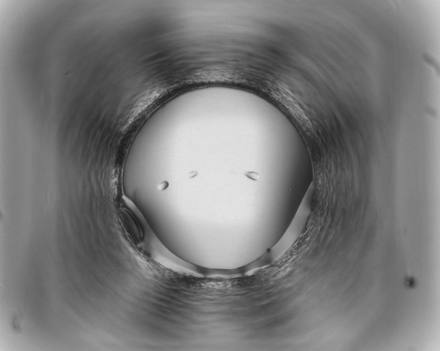 X0000096990160200802221506