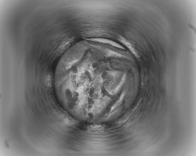 X0000096990161200802221506