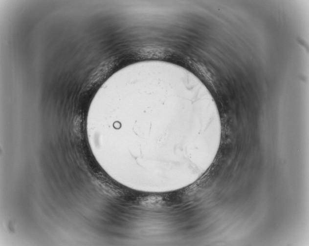 X0000096990162200802221506