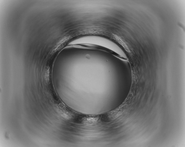 X0000096990163200802221506