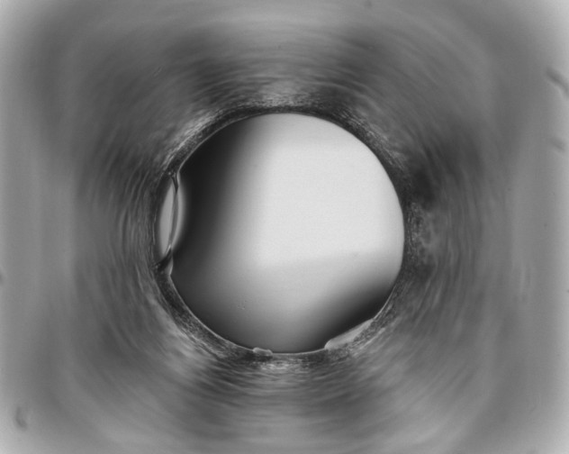 X0000096990164200802221506