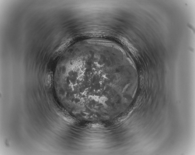 X0000096990165200802221507