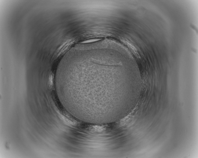 X0000096990166200802221507